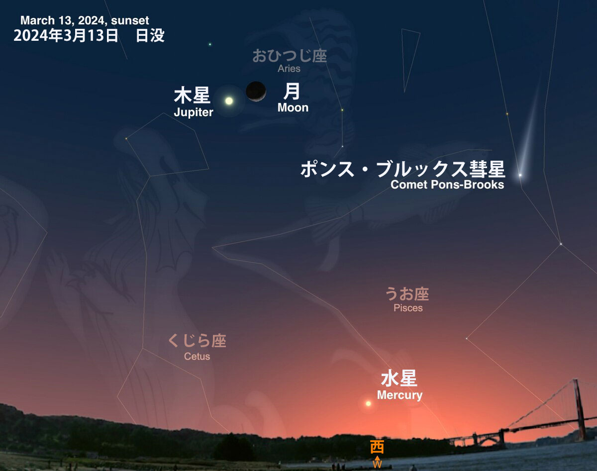満天星 能登の夜空に輝く「満天星」希望を伝える学芸員の願い 観察館は大きな