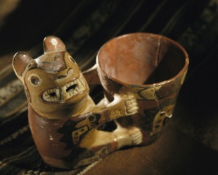 ギャラリー：政治力の陰に幻覚剤入りの酒、痕跡を発見、古代ペルー　写真7点