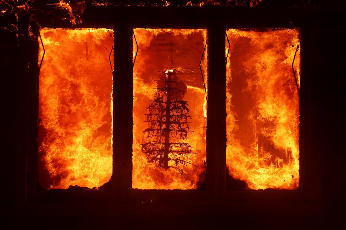 ギャラリー：LA山火事、想像を絶する光景をとらえた写真15点