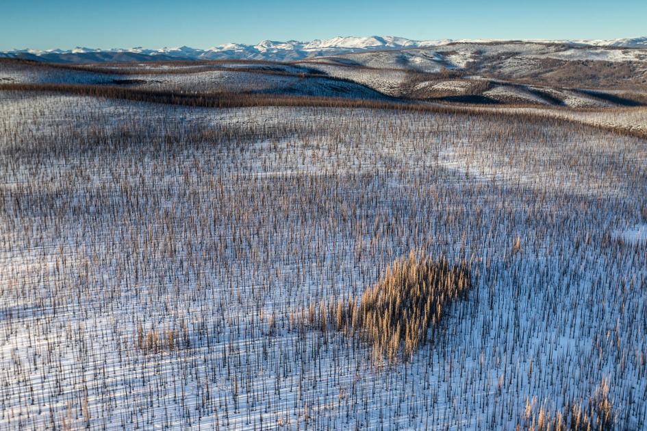 ギャラリー：地球温暖化は進んでいる、その原因、兆候、証拠 写真15点 | ナショナルジオグラフィック日本版サイト