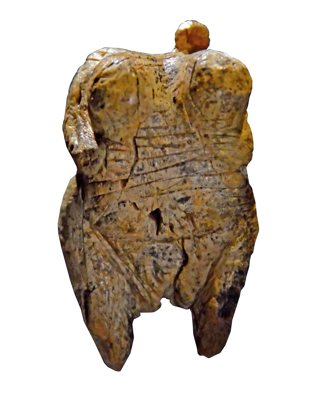 ギャラリー 旧石器時代の女性像 ビーナス小像 写真18点 ナショナルジオグラフィック日本版サイト ギャラリー 旧石器時代の女性像 ビーナス小像 写真18点 ナショナルジオグラフィック日本版サイト