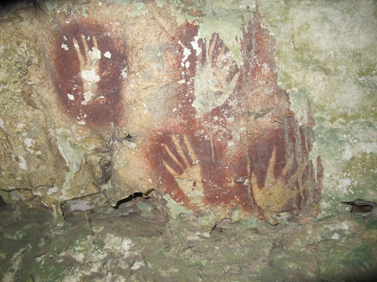 ギャラリー：世界最古の洞窟壁画を発見、6万7800年前 インドネシア