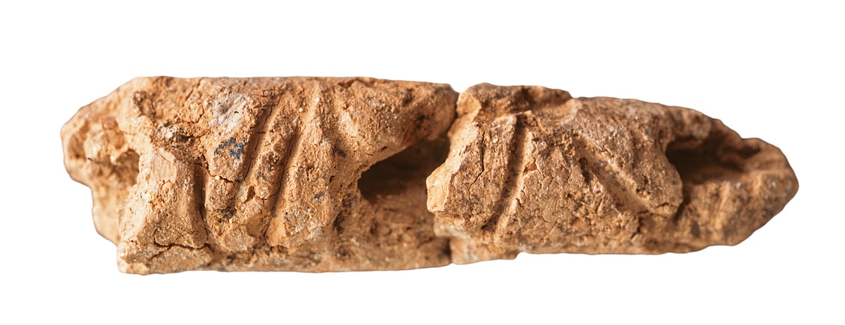ギャラリー：世界最古のアルファベットか 4400年前の土器に謎の刻印