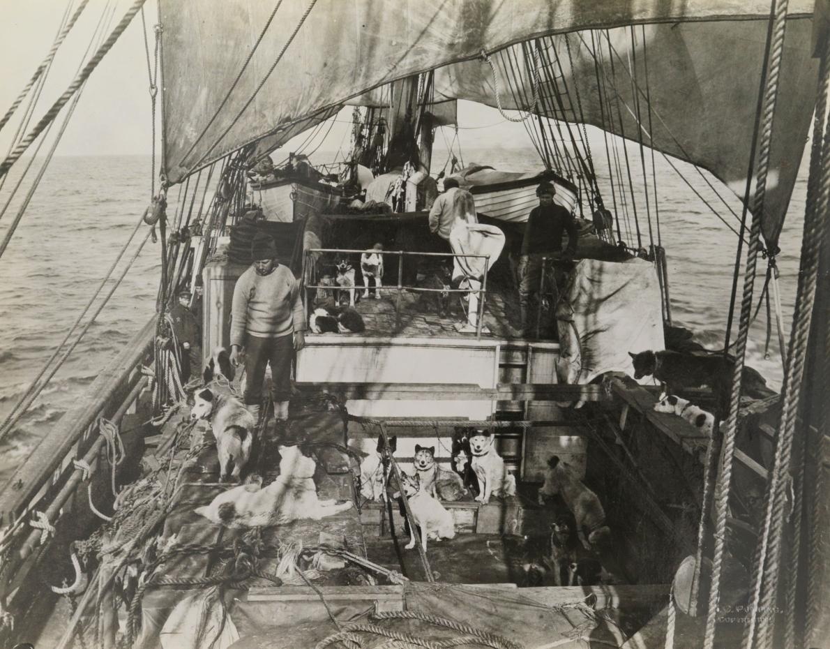 ギャラリー:1910~12年に南極点を目指したスコット探検隊 写真5点ナショナルジオグラフィック日本版サイト