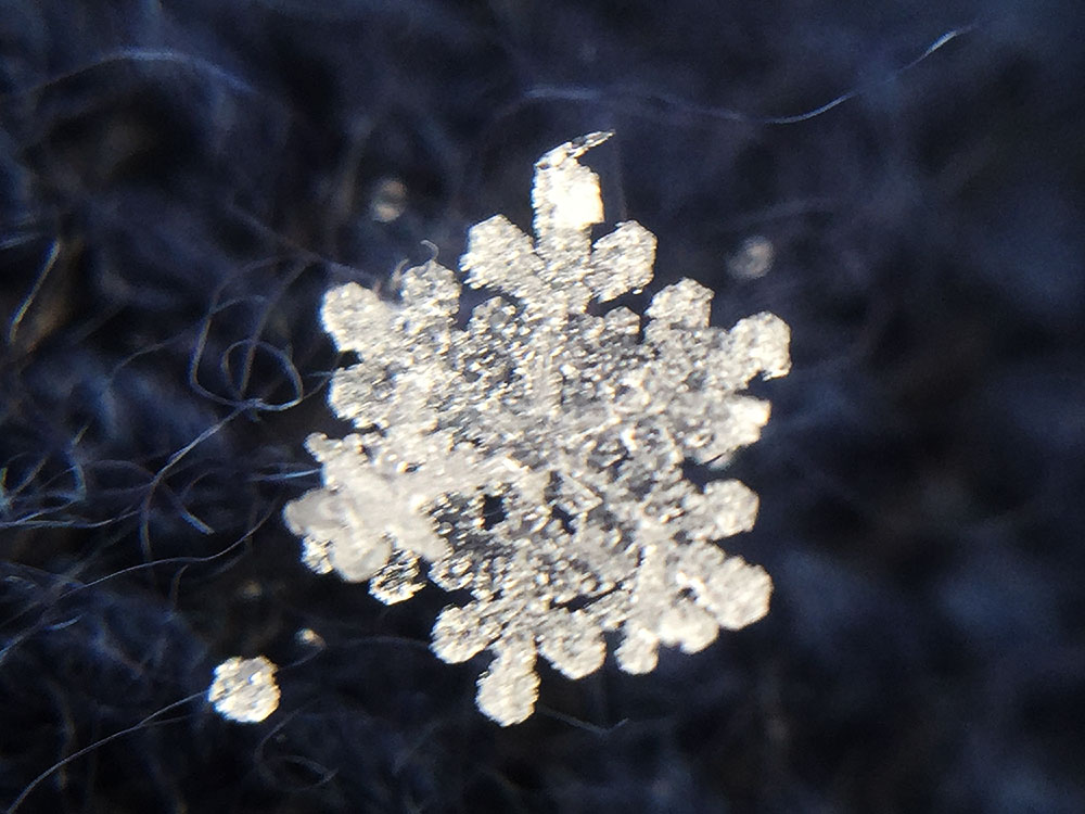 雪の結晶フォトギャラリー 写真9点 | ナショナルジオグラフィック日本