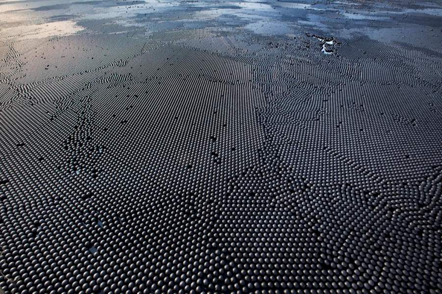 ギャラリー ロサンゼルス市が貯水池に シェードボール を投入 ナショナルジオグラフィック日本版サイト