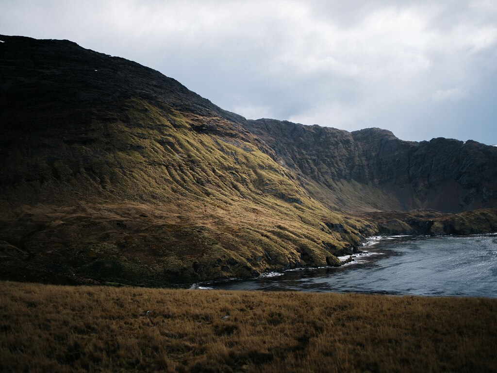 ギャラリー 南大西洋 サウスジョージア島の写真6点 21年に近海で連続地震 ナショナルジオグラフィック日本版サイト