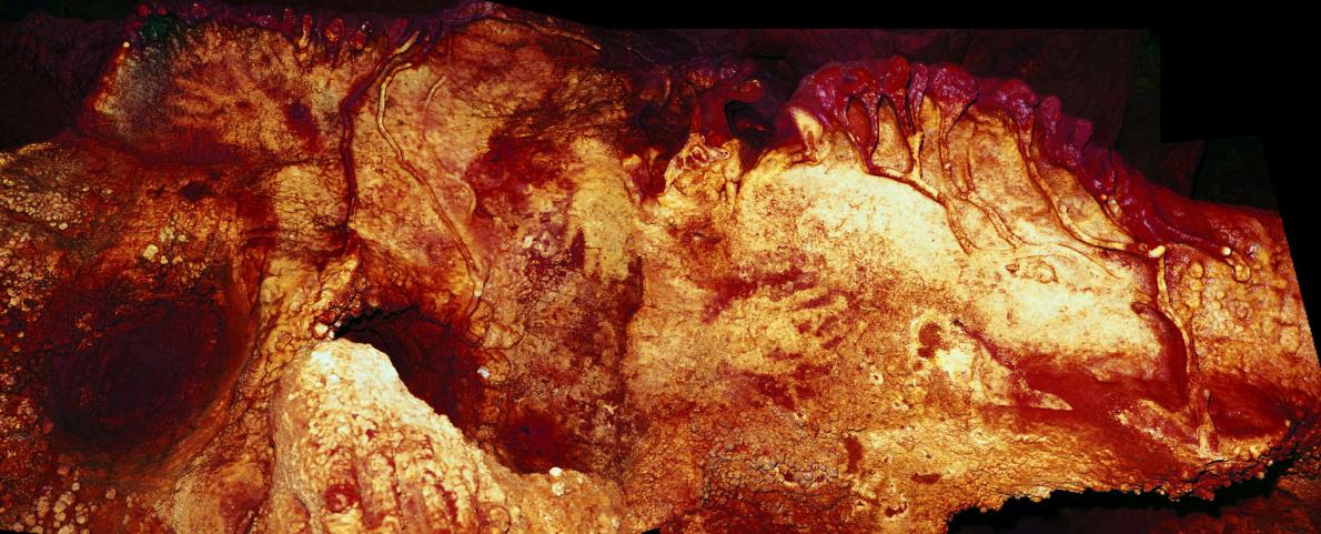 世界最古の洞窟壁画 最古の洞窟壁画か？ インドネシア | ナショナル ジオ