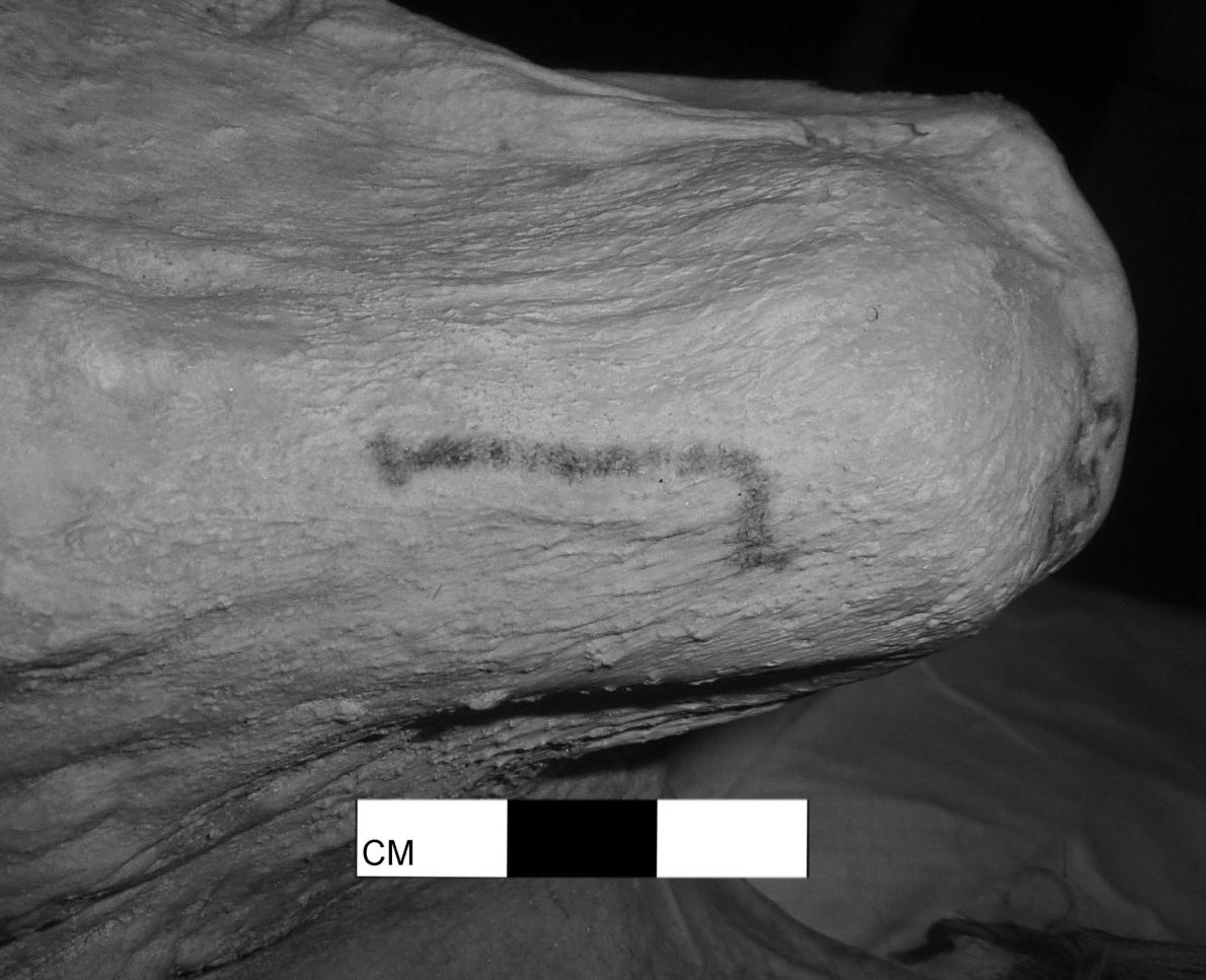 ギャラリー：5千年前のエジプトミイラに謎の「S字」タトゥー 写真6点