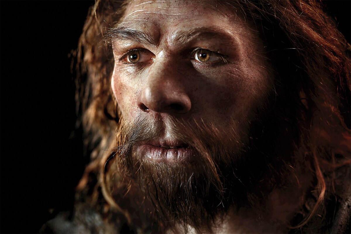 ギャラリー：ネアンデルタール人の最後の日々 写真と画像18点