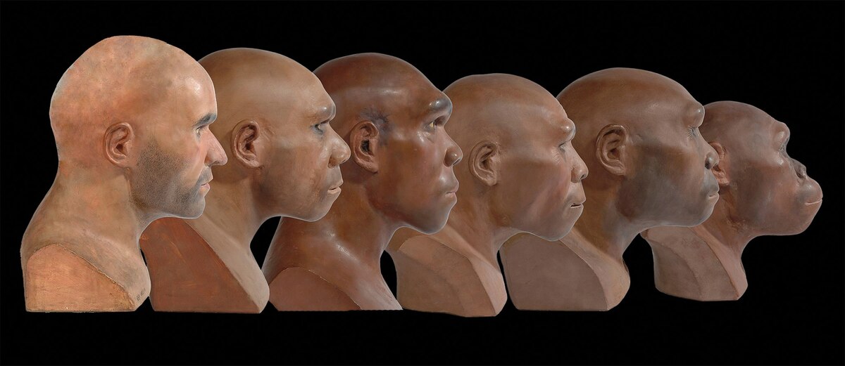 ギャラリー：ネアンデルタール人の最後の日々 写真と画像18点
