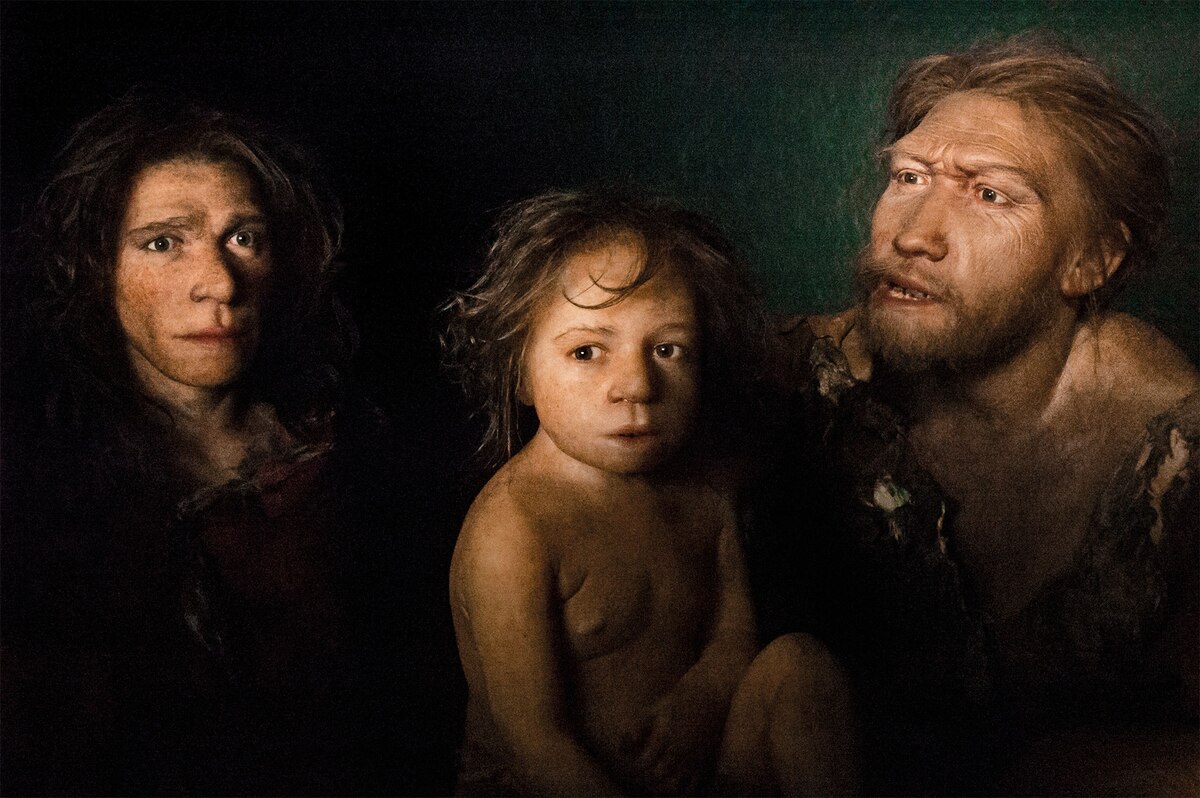 ギャラリー：ネアンデルタール人の最後の日々 写真と画像18点
