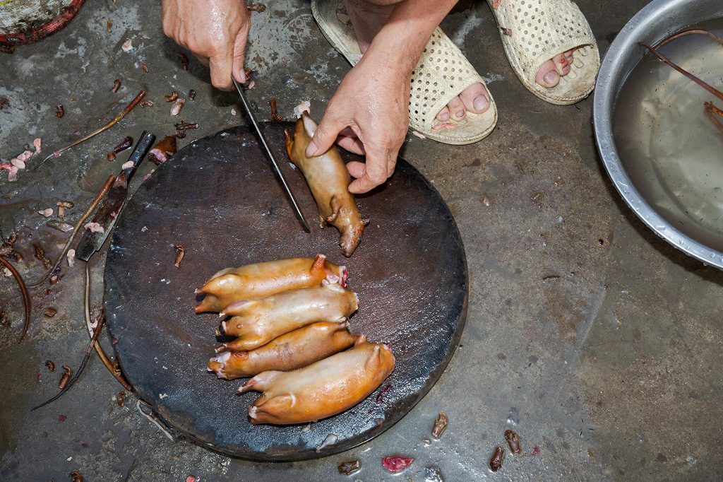 ギャラリー ネズミを食べてみた ベトナム農村の食文化 写真10点 ナショナルジオグラフィック日本版サイト