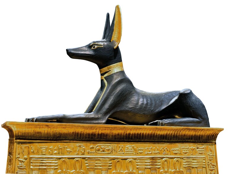 ギャラリー：古代エジプト3000年の歴史を彩った動物の神々、ネコ