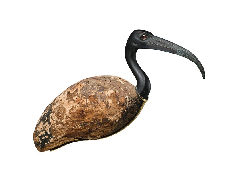 エジプト IBIS イビス神 聖トキ像 81Q8uKCB+WL._UF894,1000_QL80_.jpg