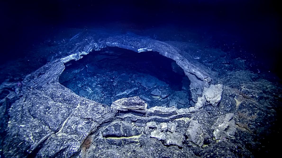 ギャラリー 奇妙で神秘的なガラパゴス沖 深海の最新写真10点 ナショナルジオグラフィック日本版サイト