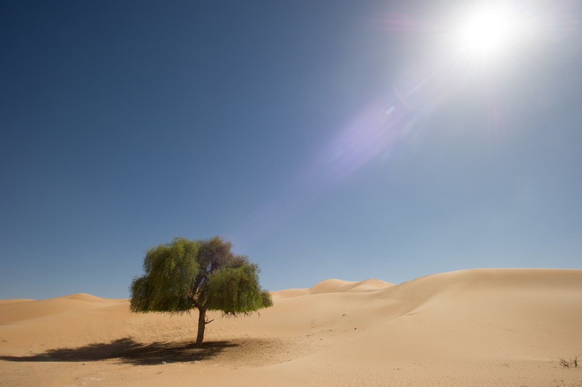 02.jpg?__scale=w:1200,h:799&