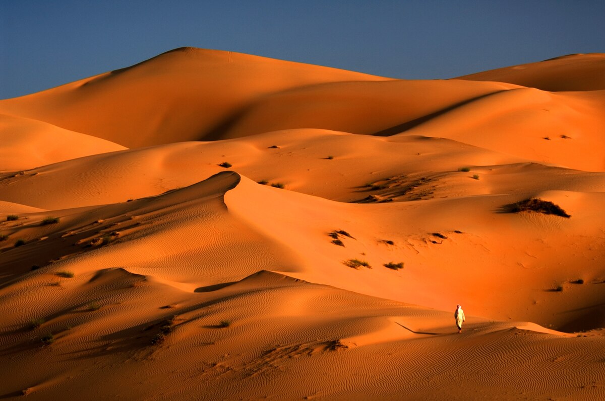 ギャラリー：サウジアラビアの広大な砂漠はかつて緑の楽園だった 写真7点 | ナショナルジオグラフィック日本版サイト