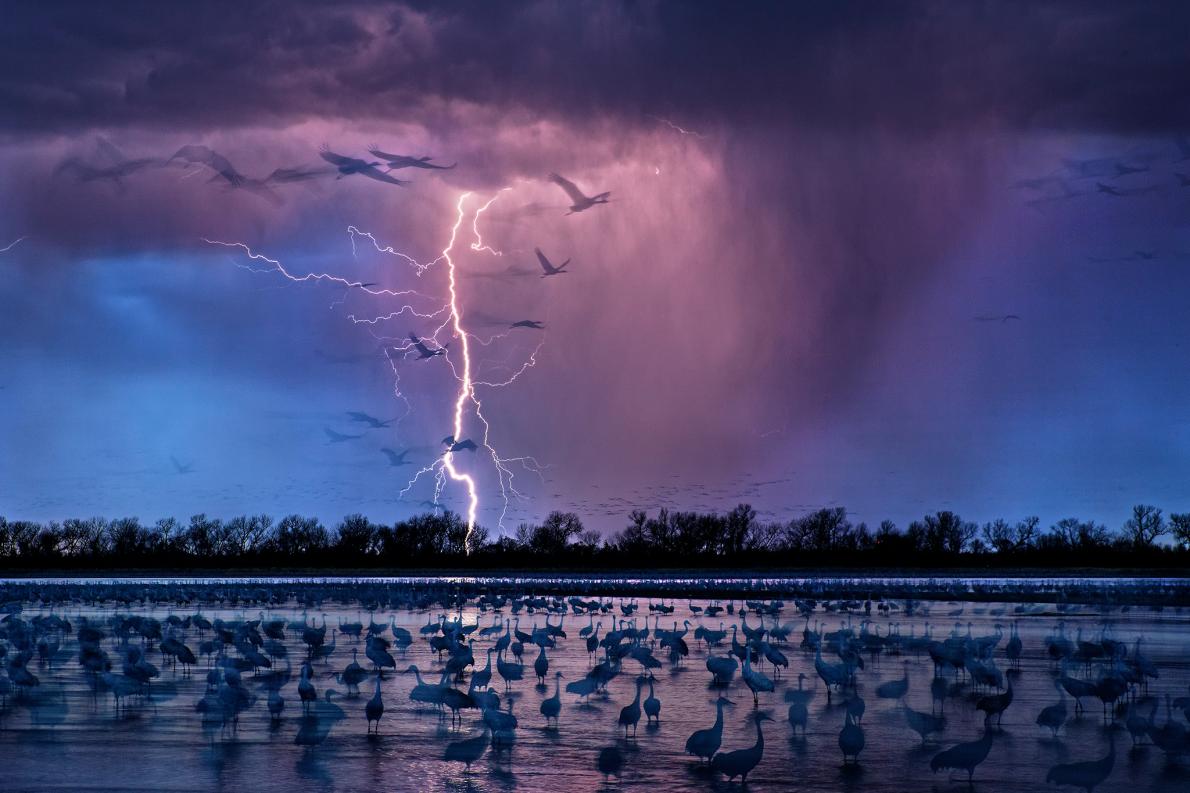 ギャラリー 美しくて恐ろしい世界の雷雲 写真11点 ナショナルジオグラフィック日本版サイト
