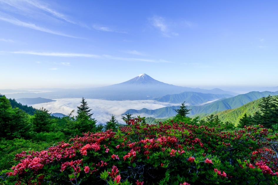 ギャラリー：富士山の絶景 作品15点 写真家は7年間ほぼ毎週撮り