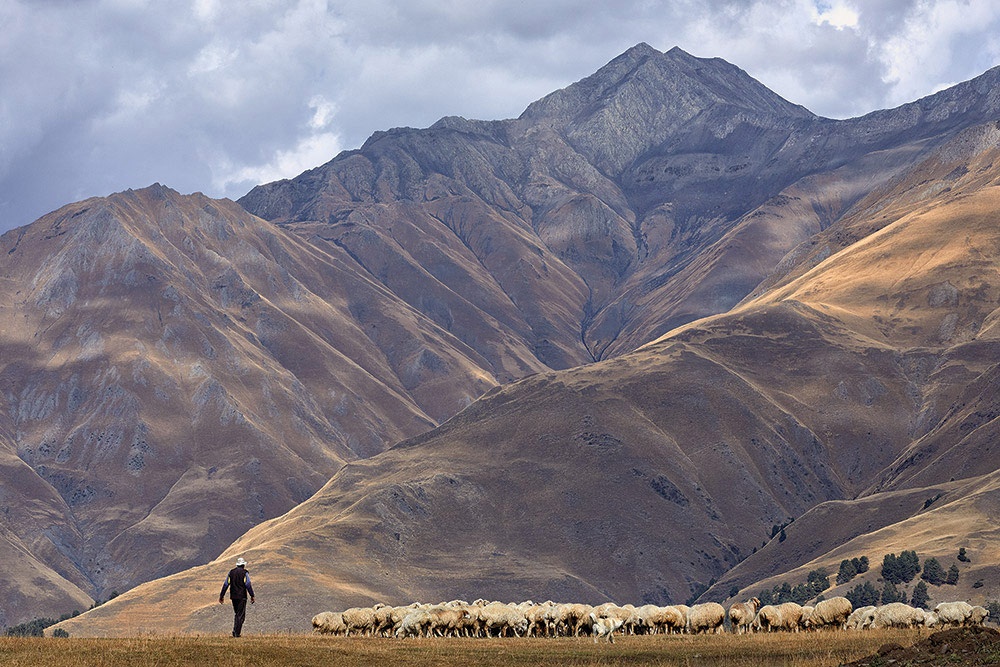 特集ギャラリー：大自然と生きる、カフカスの羊飼い　写真と地図16点（2021年6月号）ナショナルジオグラフィック日本版サイト