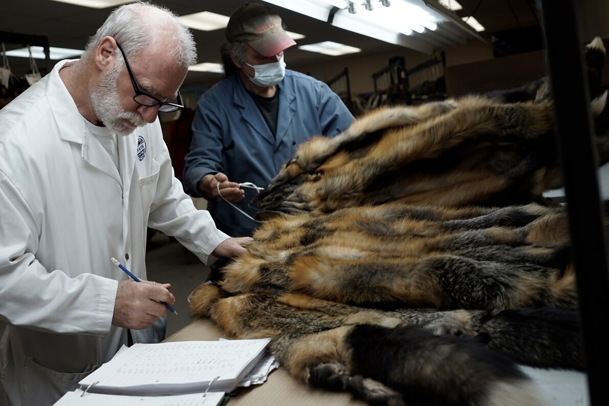 ギャラリー 反毛皮の波で苦境に カナダ先住民の伝統的なわな猟師たち 写真点 ナショナルジオグラフィック日本版サイト ギャラリー 反毛皮の波で苦境に カナダ先住民の伝統的なわな猟師たち 写真点 ナショナルジオグラフィック日本版サイト