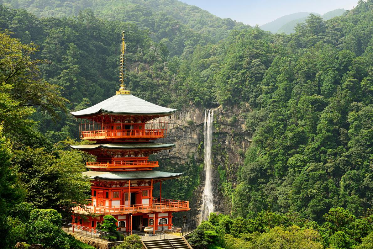 ギャラリー：いつか訪れたい、世界の美しい仏教寺院 17選 | ナショナルジオグラフィック日本版サイト