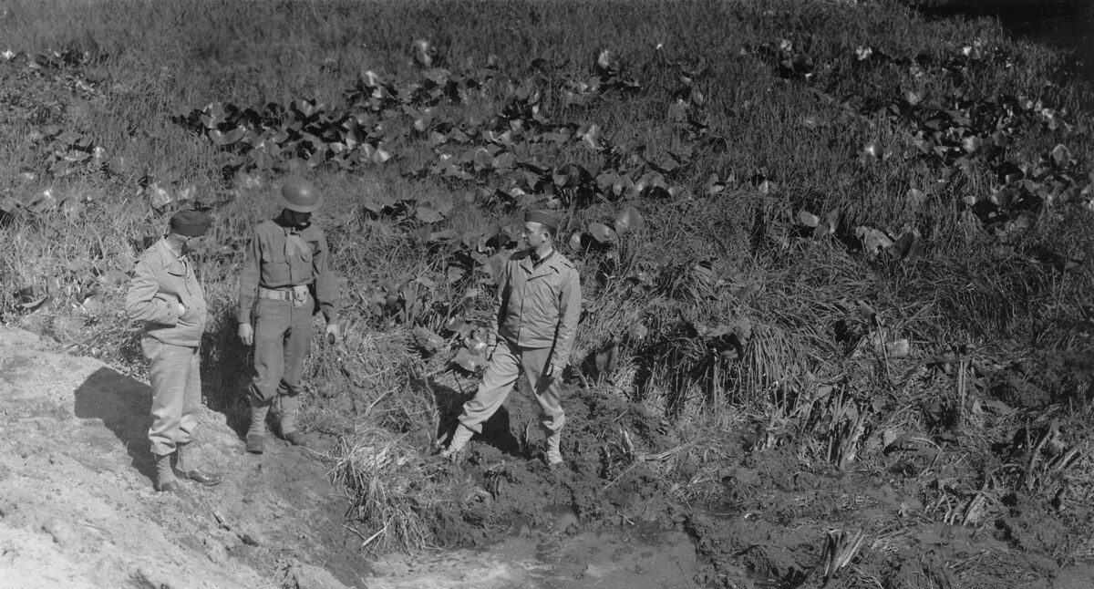 風船爆弾による米国本土攻撃（砲兵沿革史資料）』肥田木安著 中距離「ふ」号の研究 攻撃準備 気球攻撃の成果 大東亜戦争 日本軍 自衛隊 -  ノンフィクション、教養