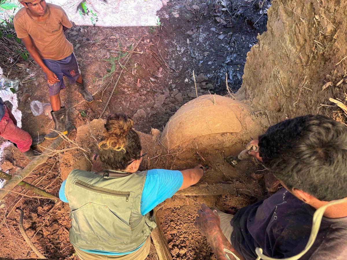 ギャラリー：古代アマゾンの謎の巨大な壺が出土、中に人骨、数千年前か