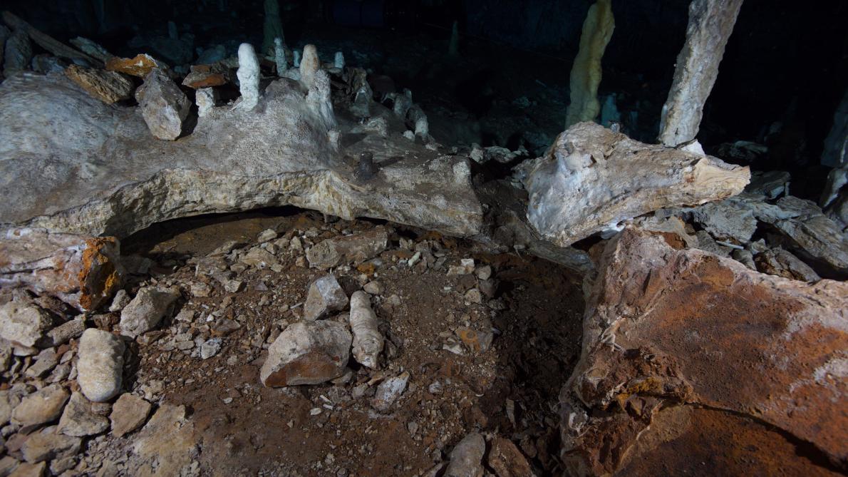 ギャラリー：未踏の水中洞窟で発見、1万年前の人類の痕跡 写真6