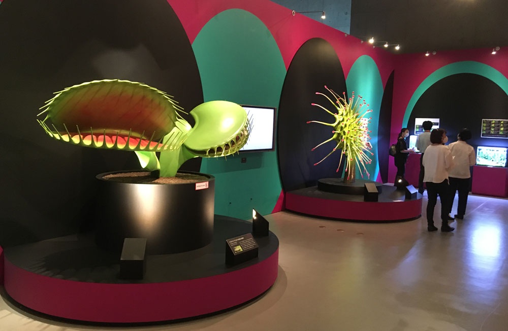 ギャラリー:特別展「植物」に行ってみた 驚きのサバイバル能力が続々 写真16点ナショナルジオグラフィック日本版サイト