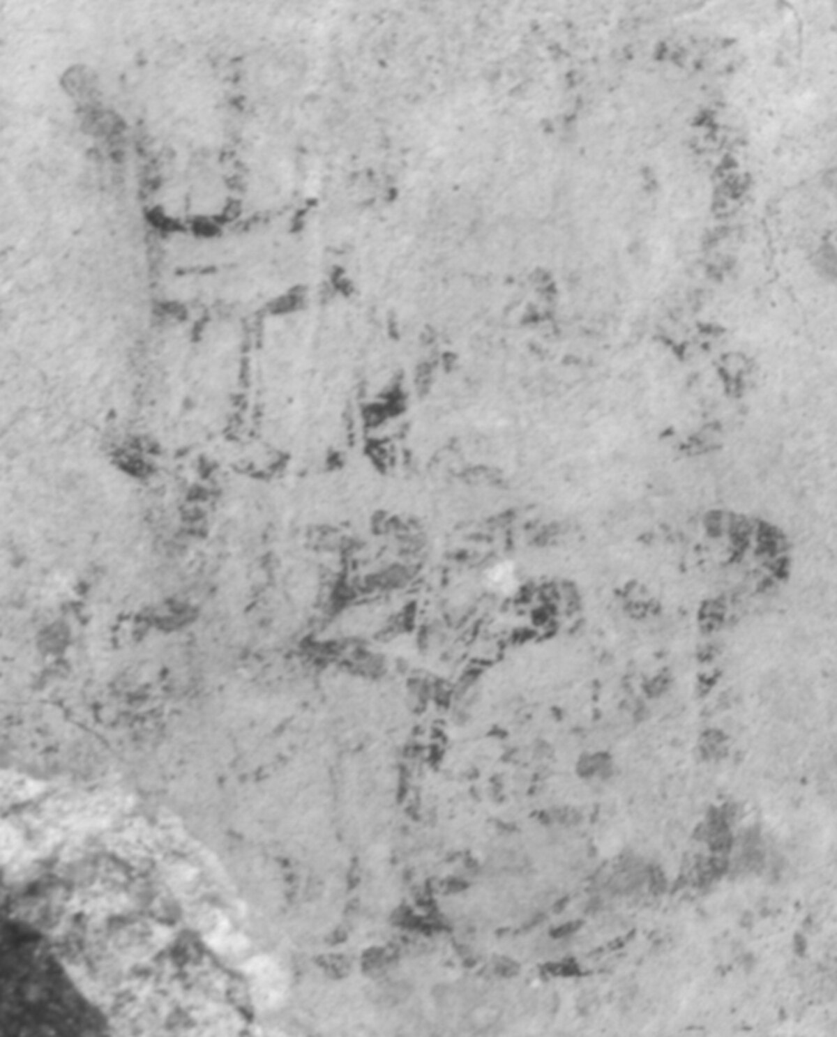 ギャラリー：古代マヤ天文学者の名前を初解読、その名も「白い胸の狐