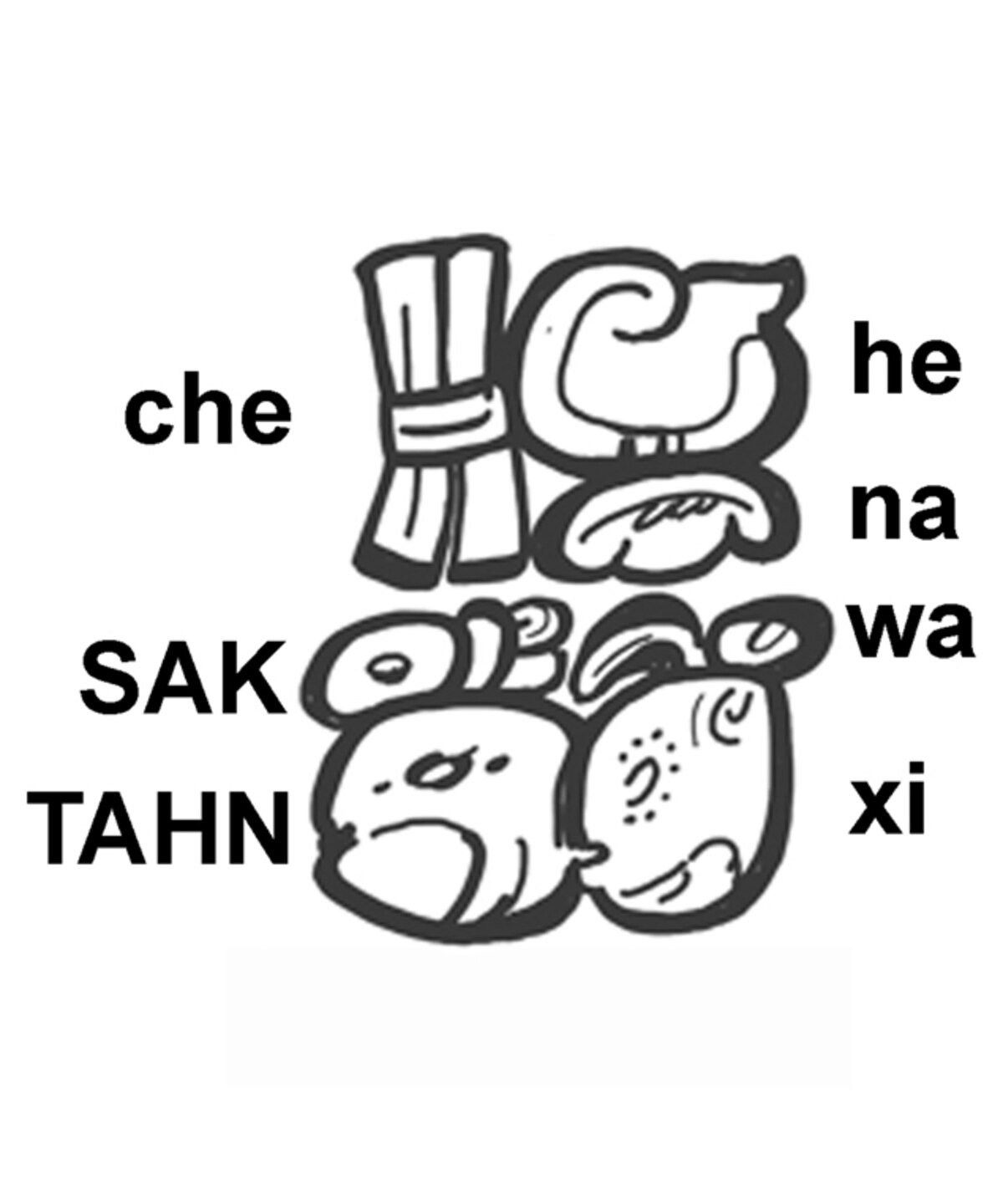 ギャラリー：古代マヤ天文学者の名前を初解読、その名も「白い胸の狐