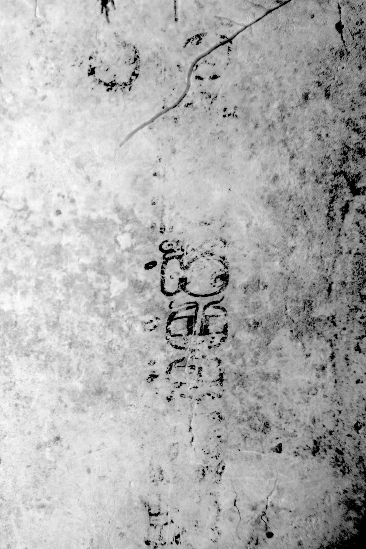 ギャラリー：古代マヤ天文学者の名前を初解読、その名も「白い胸の狐