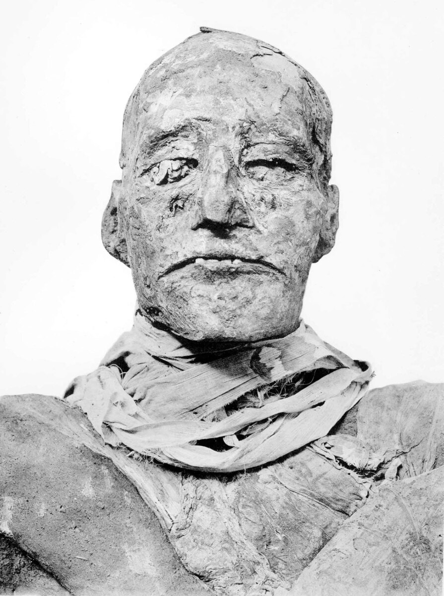 ラムセス3 ギャラリー：誰がラムセス3世を殺したのか？ ついに解かれた「3000年の