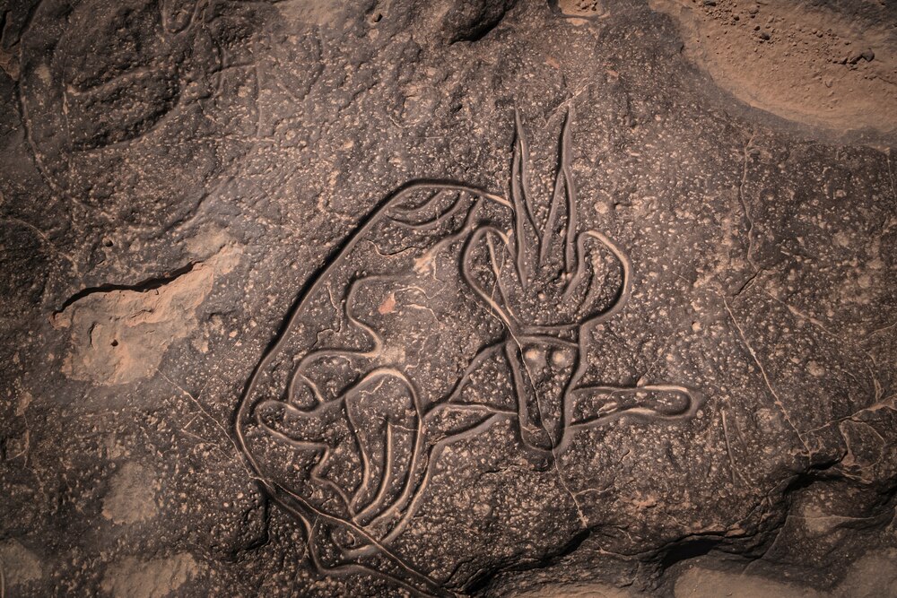 ギャラリー：世界遺産タッシリ・ナジェール、奇岩の絶景と古代の岩絵群