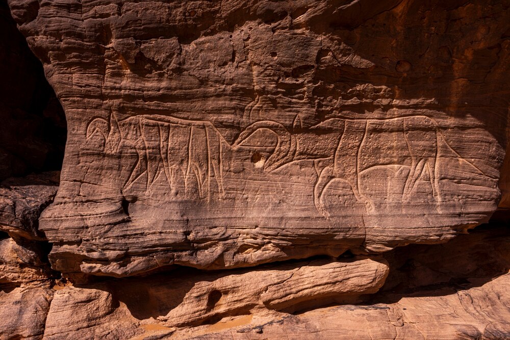 ギャラリー：世界遺産タッシリ・ナジェール、奇岩の絶景と古代の岩絵群