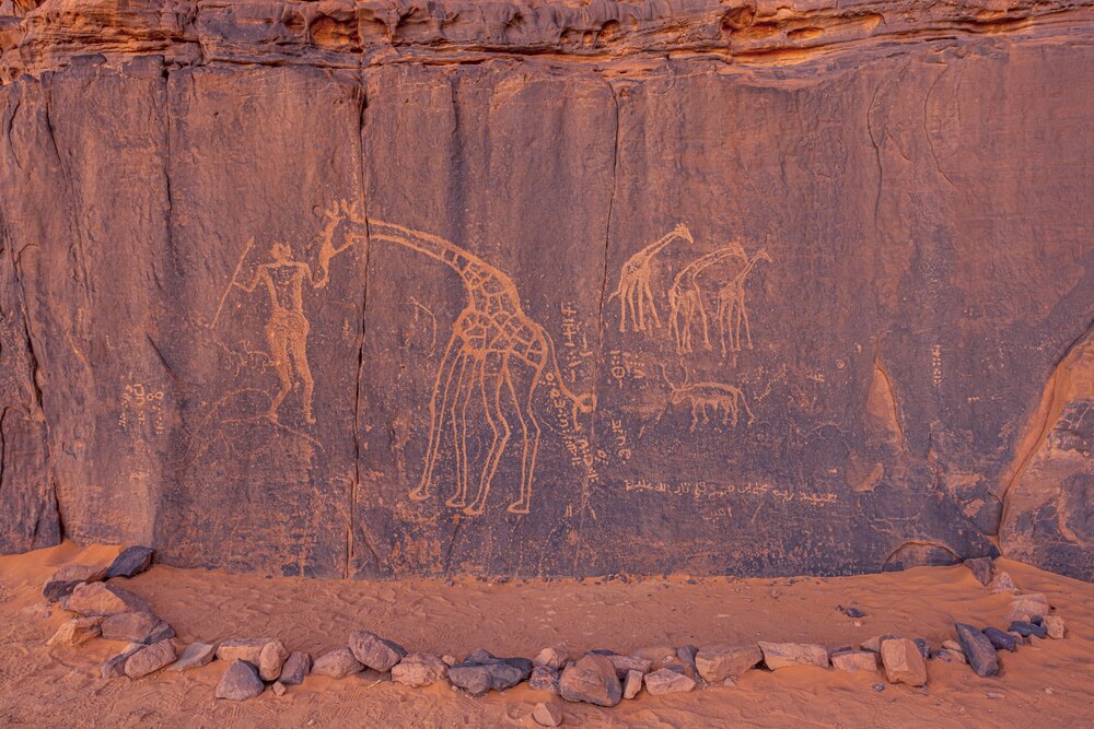サハラ、砂漠の画廊: タッシリ・ナジェール古代岩壁画 サハラ、砂漠の画廊 タッシリ・ナジェール古代岩壁画(野町和嘉