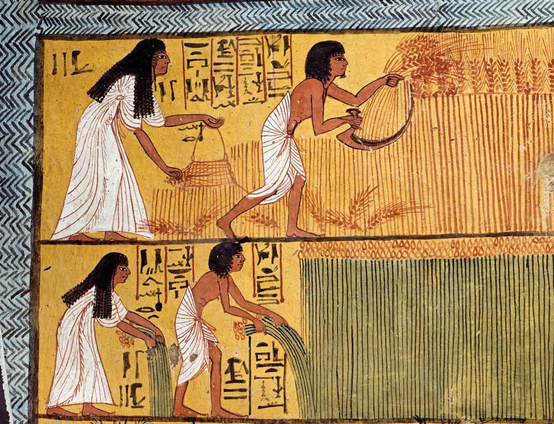 ギャラリー 古代エジプト絵画はこうして描かれた 作品と変遷 15点 ナショナルジオグラフィック日本版サイト ギャラリー 古代エジプト絵画はこうして描かれた 作品と変遷 15点 ナショナルジオグラフィック日本版サイト