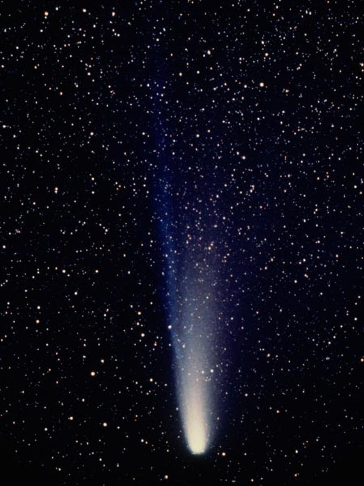 周期 ハレー彗星