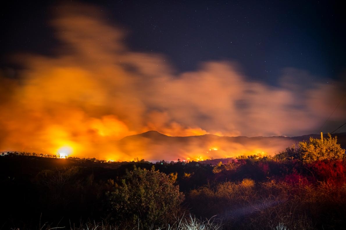 ギャラリー 奇妙な色に染まったカリフォルニア 相次ぐ森林火災 写真と画像10点 ナショナルジオグラフィック日本版サイト ギャラリー 奇妙な色に染まったカリフォルニア 相次ぐ森林火災 写真と画像10点 ナショナルジオグラフィック日本版サイト