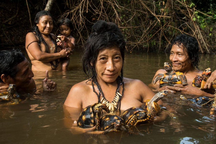 ギャラリー：アマゾンの先住民保護活動家が殺害される、危機的状況 
