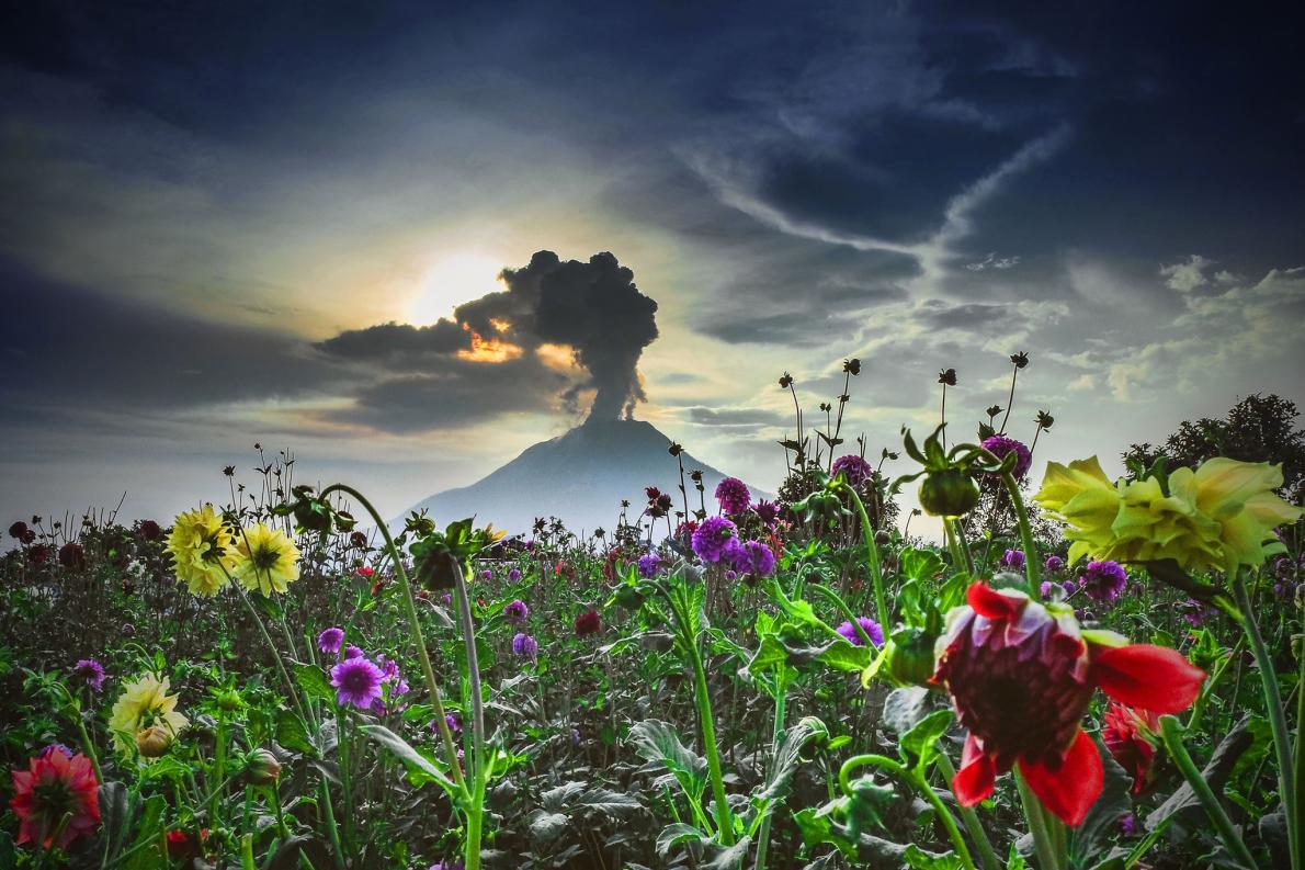 ギャラリー 流れるマグマ 立ち昇る噴煙 荒ぶる地球の迫力を実感 世界の活火山 写真13点 ナショナルジオグラフィック日本版サイト