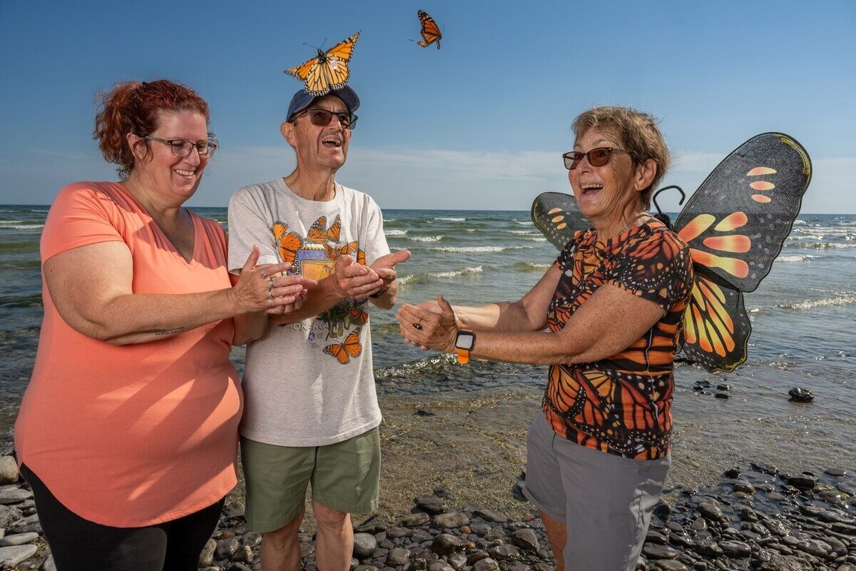 ギャラリー:“旅する蝶”オオカバマダラ、「絶滅危惧種」が異例の解除 写真5点 ナショナルジオグラフィック日本版サイト
