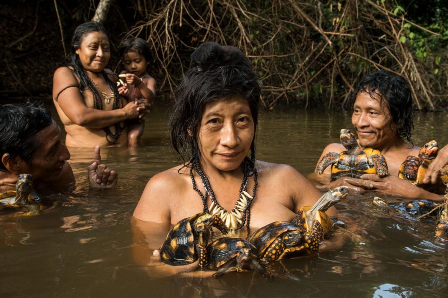 アマゾンの先住民 アマゾンの先住民族 | 特定非営利活動法人 熱帯森林保護団体(RFJ)