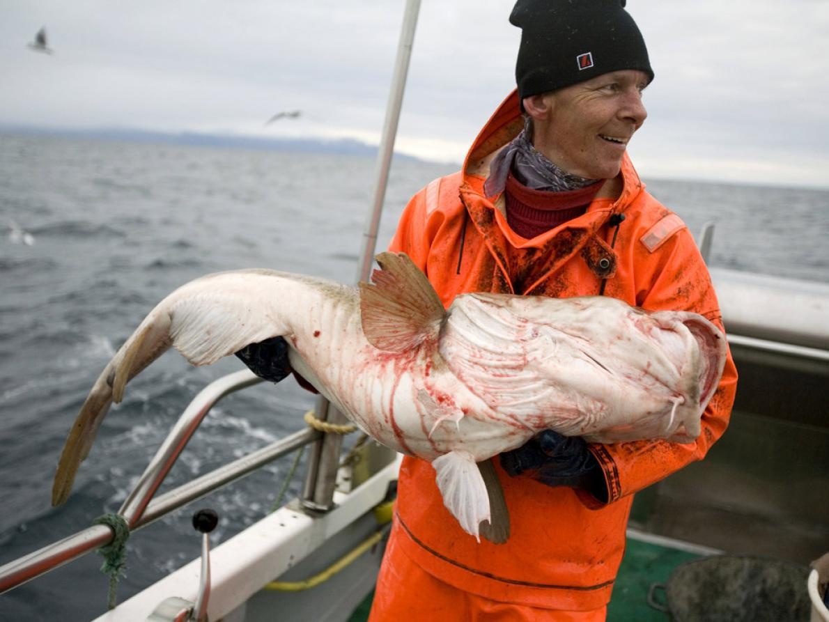 ギャラリー:世界の漁業、乱獲から海の未来を守れるか 写真12点ナショナルジオグラフィック日本版サイト