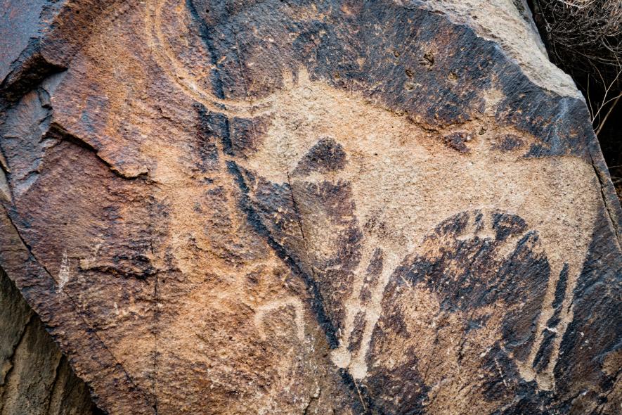 ギャラリー：世界遺産タムガリ峡谷、カザフスタンの岩絵群5000点 写真5
