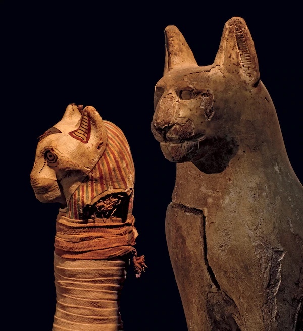 ギャラリー:古代エジプト人は永遠の命のためにここまでやった ギャラリー:古代エジプト人は永遠の命のためにここまでやった