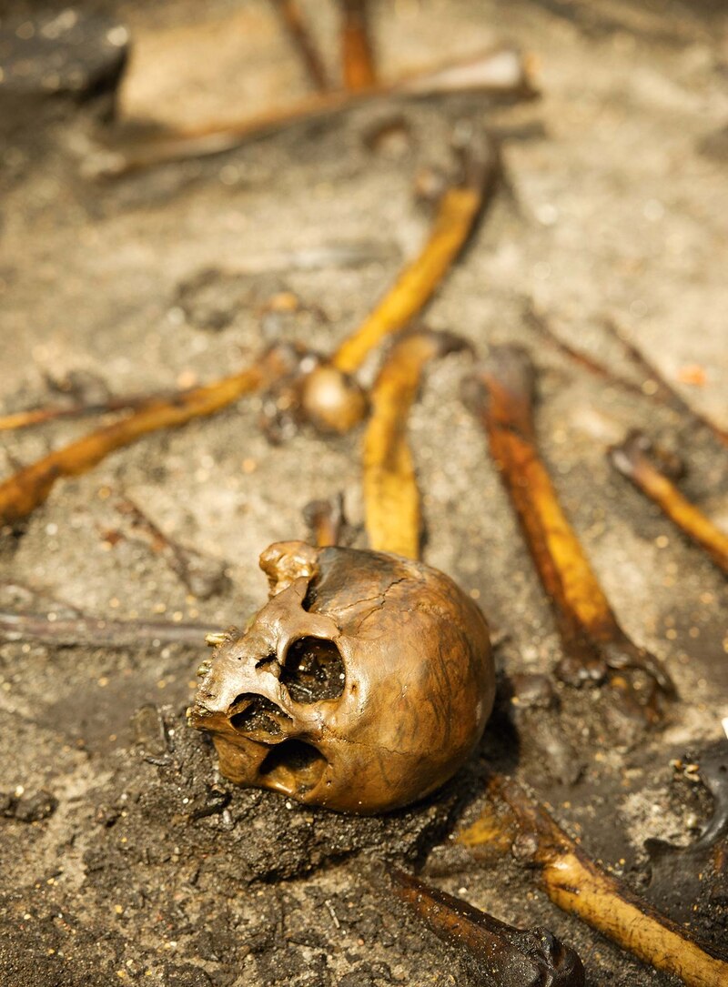 ギャラリー：まだ生きているかのような欧州の湿地のミイラたち 写真10