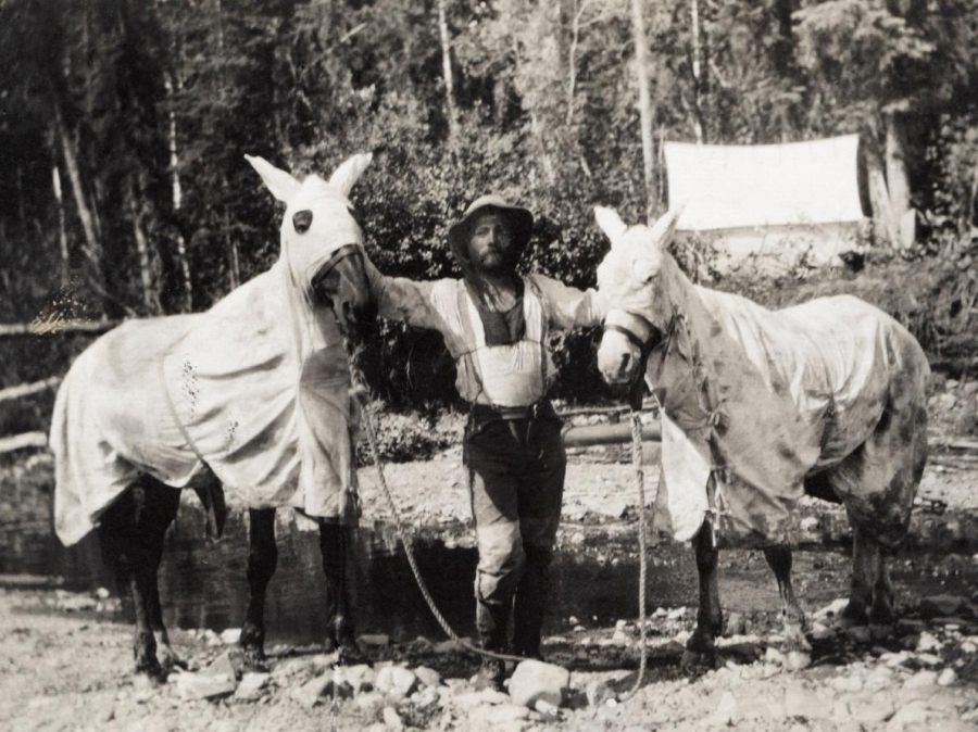 ナショジオの写真で見る100年前の蚊対策 ナショナルジオグラフィック日本版サイト